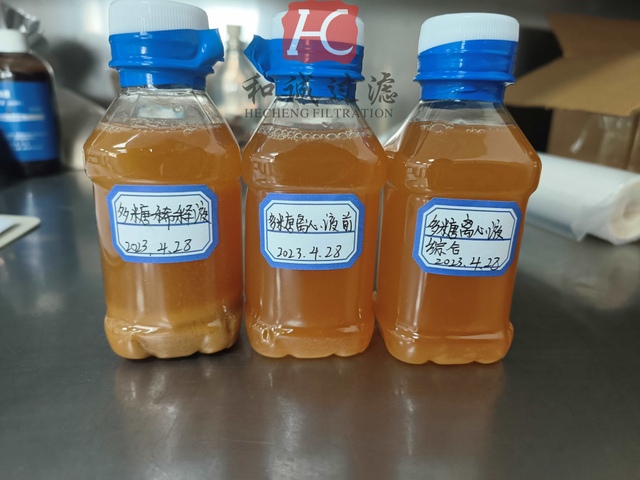 Polysaccharide Experiment