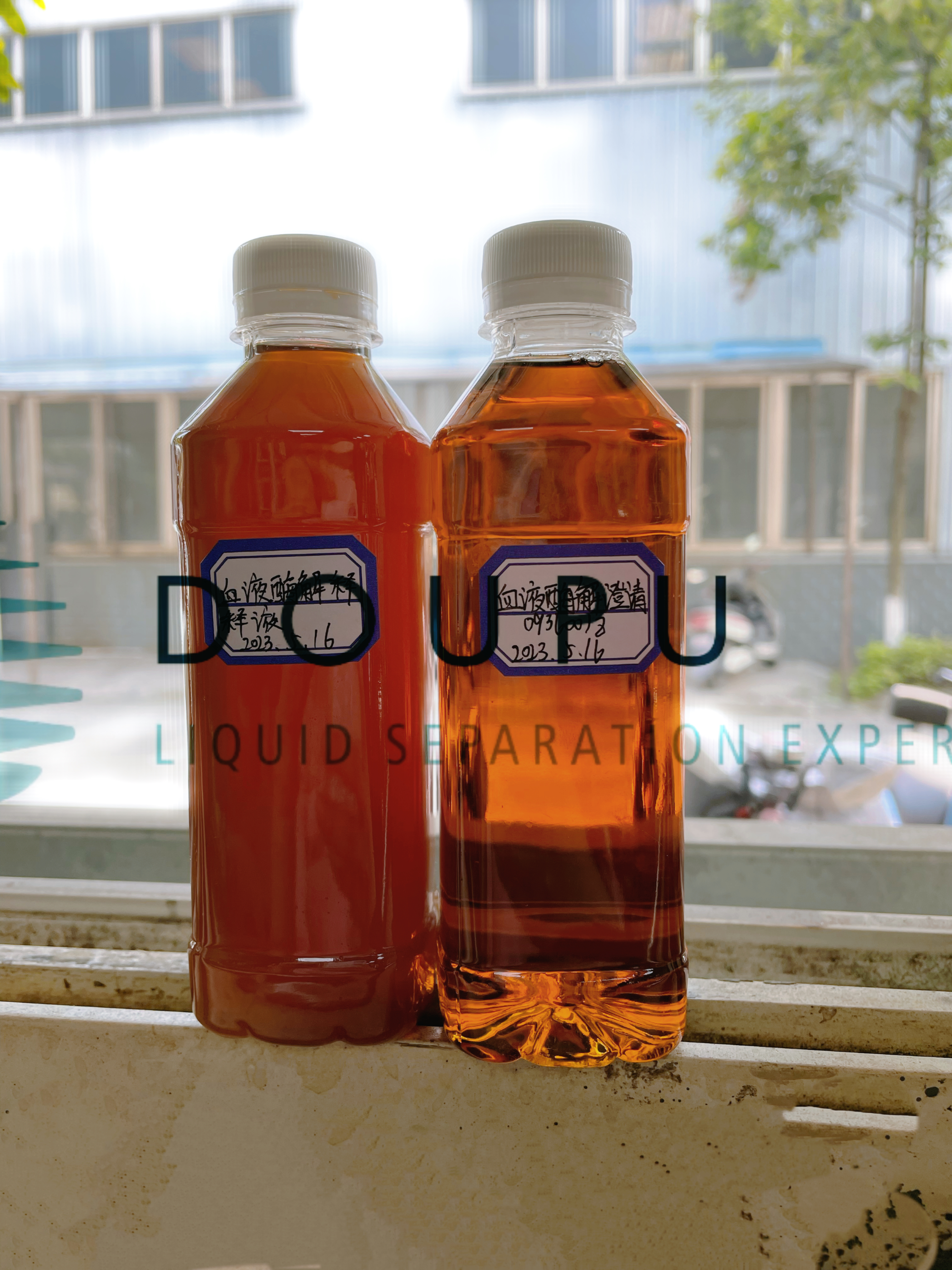 Blood Enzymatic Hydrolysis.jpg