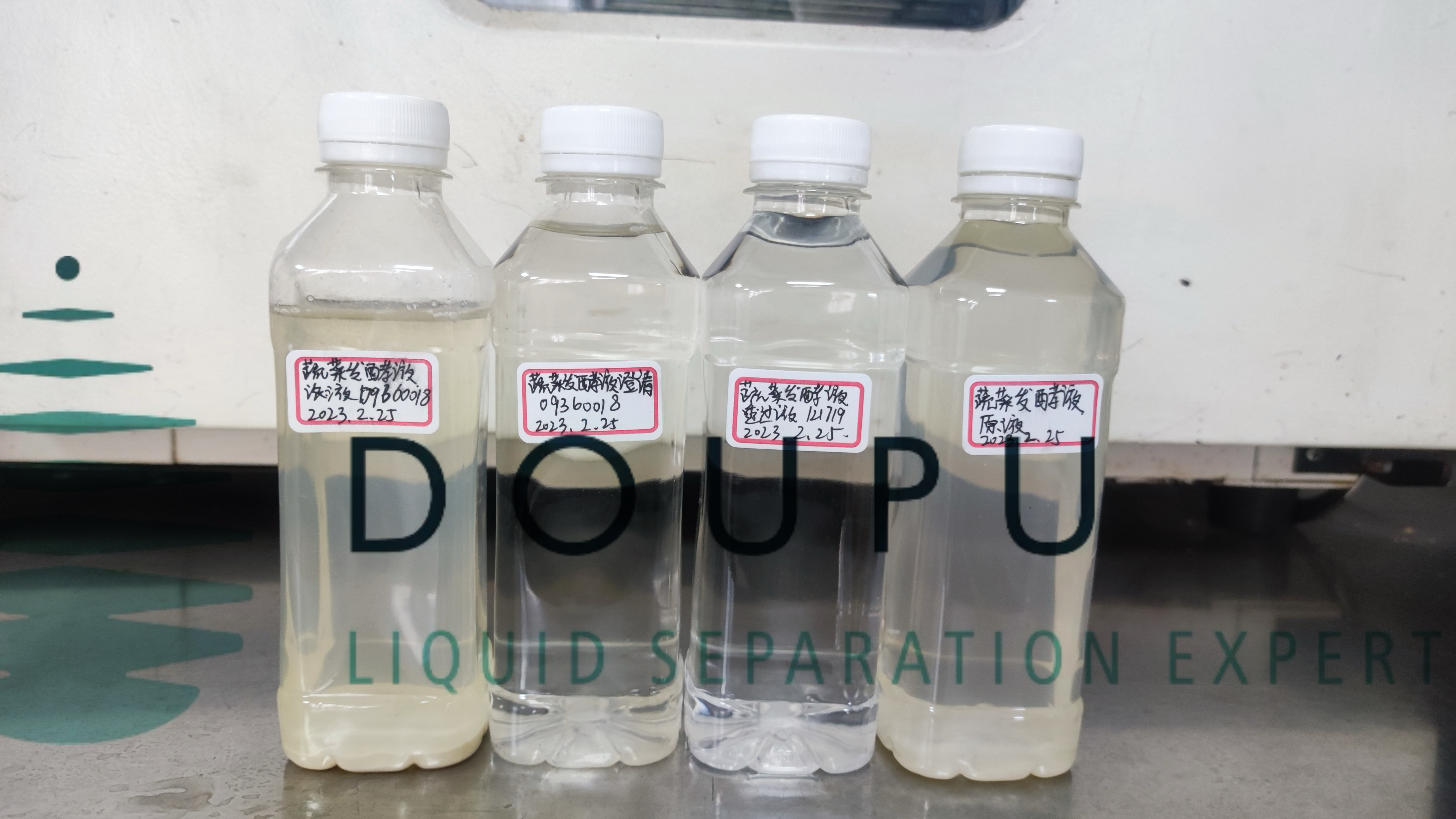 Vegetable Fermentation Liquid.jpg