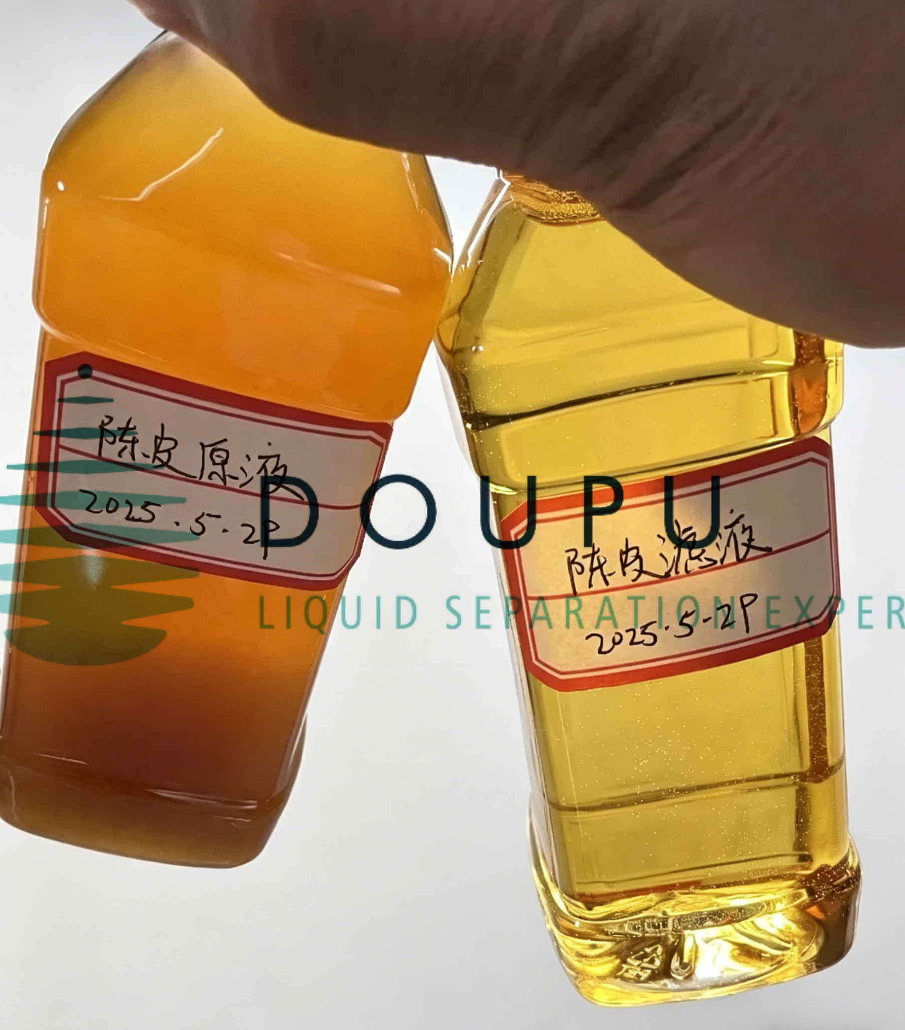 陈皮.jpg