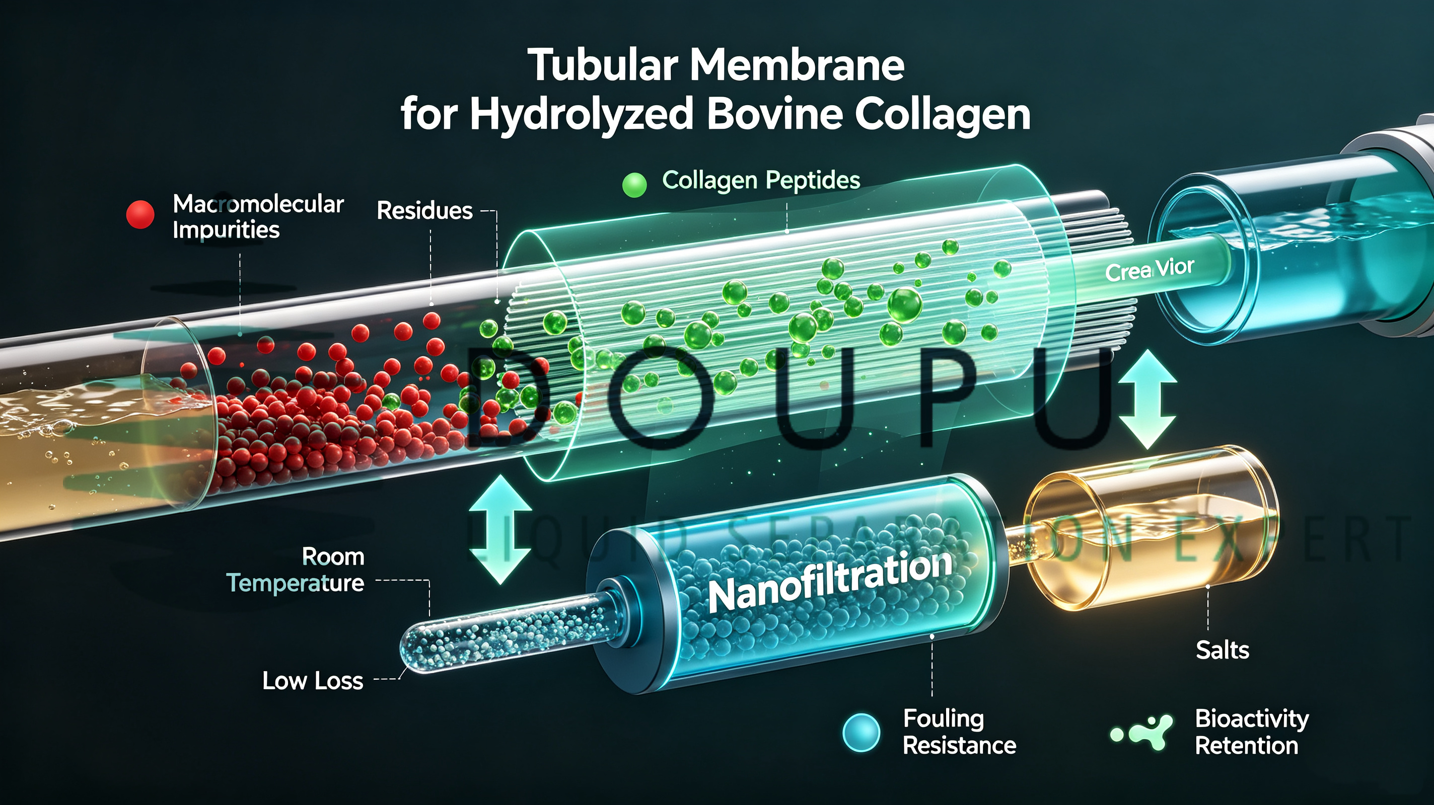 Hydrolyzed Bovine Collagen Peptides.jpg